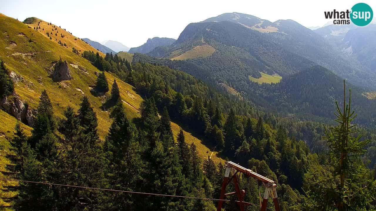 Web kamera Koča na Golici (1582 m) – Slovenija
