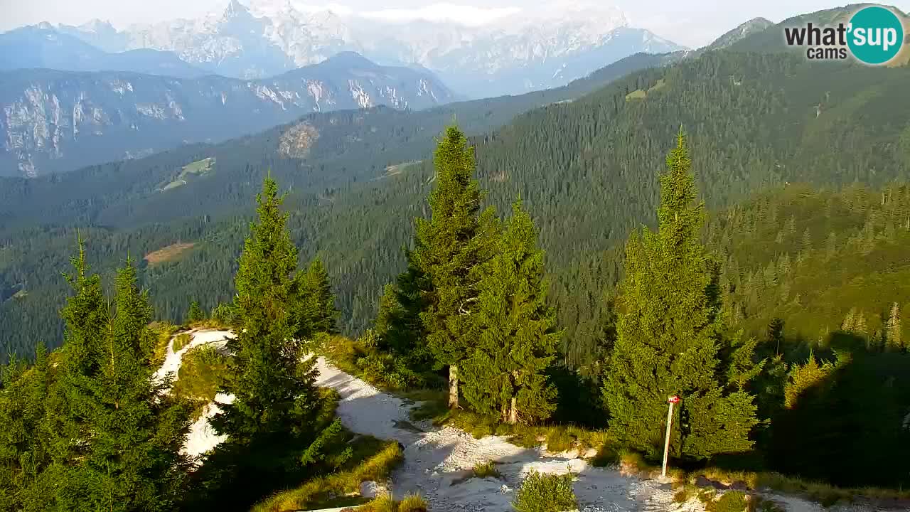 Spletna kamera Koča na Golici (1582 m) – Jesenice