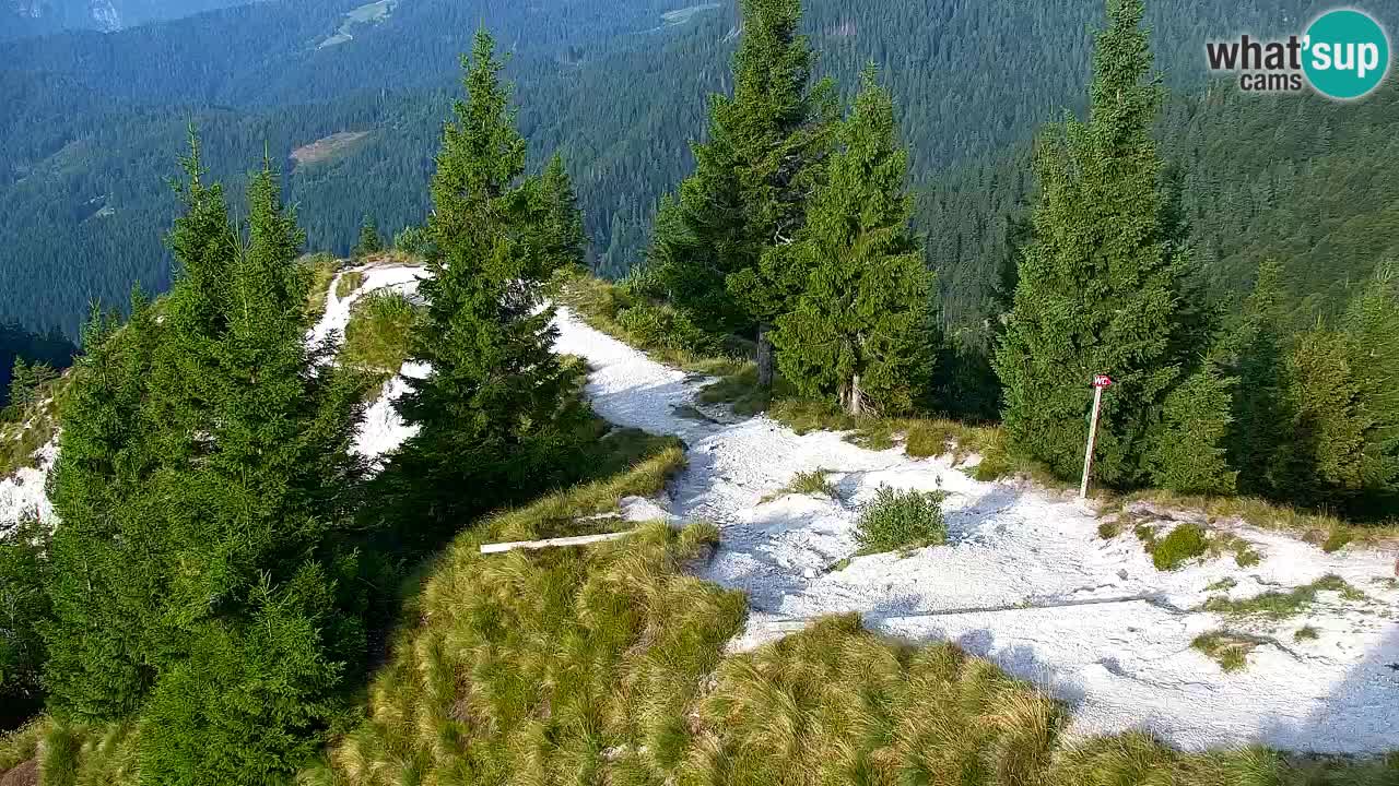 Spletna kamera Koča na Golici (1582 m) – Jesenice