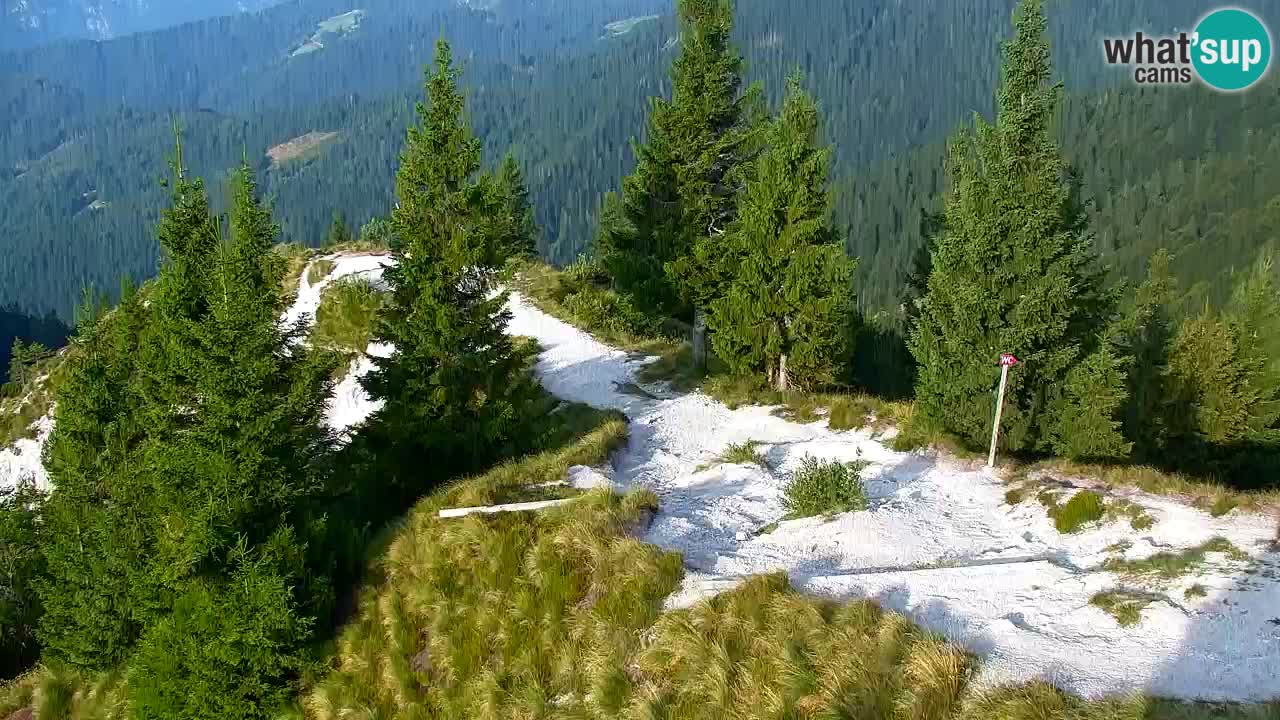 Spletna kamera Koča na Golici (1582 m) – Jesenice