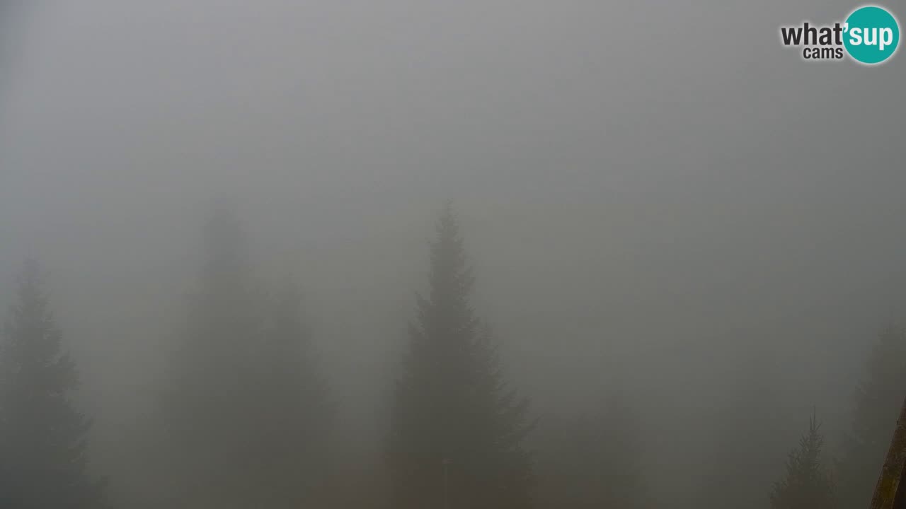 Spletna kamera Koča na Golici (1582 m) – Jesenice