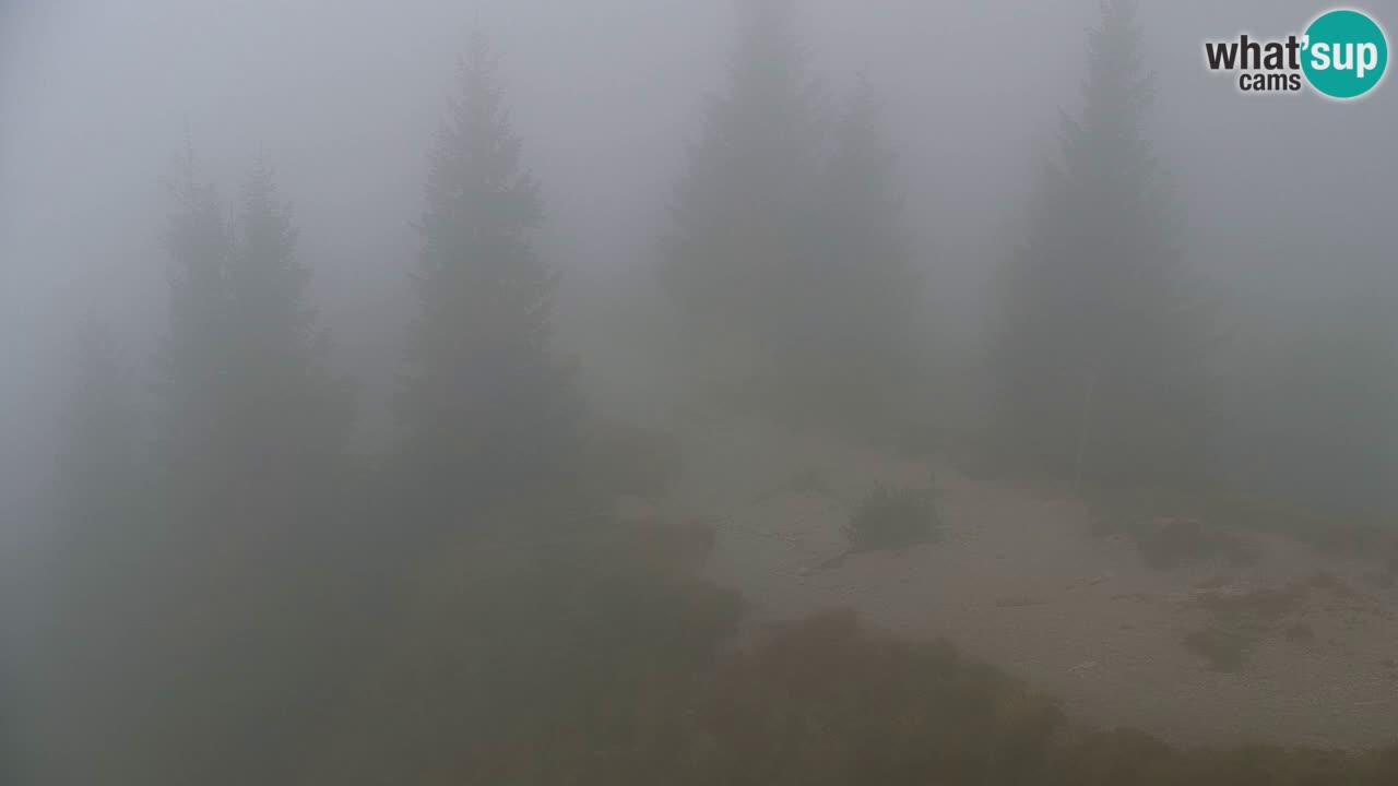 Webcam Koča na Golici (1582 m) – Slovenia