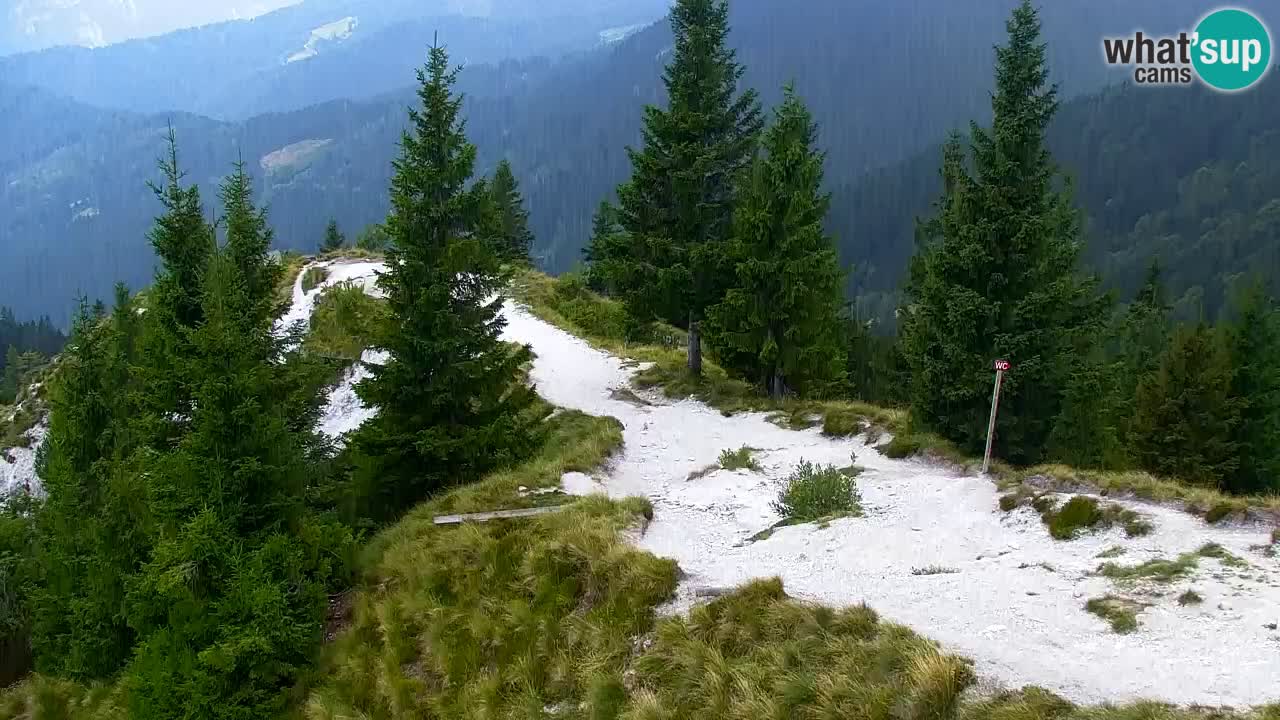 Webcam Koča na Golici (1582 m) – Slovenia