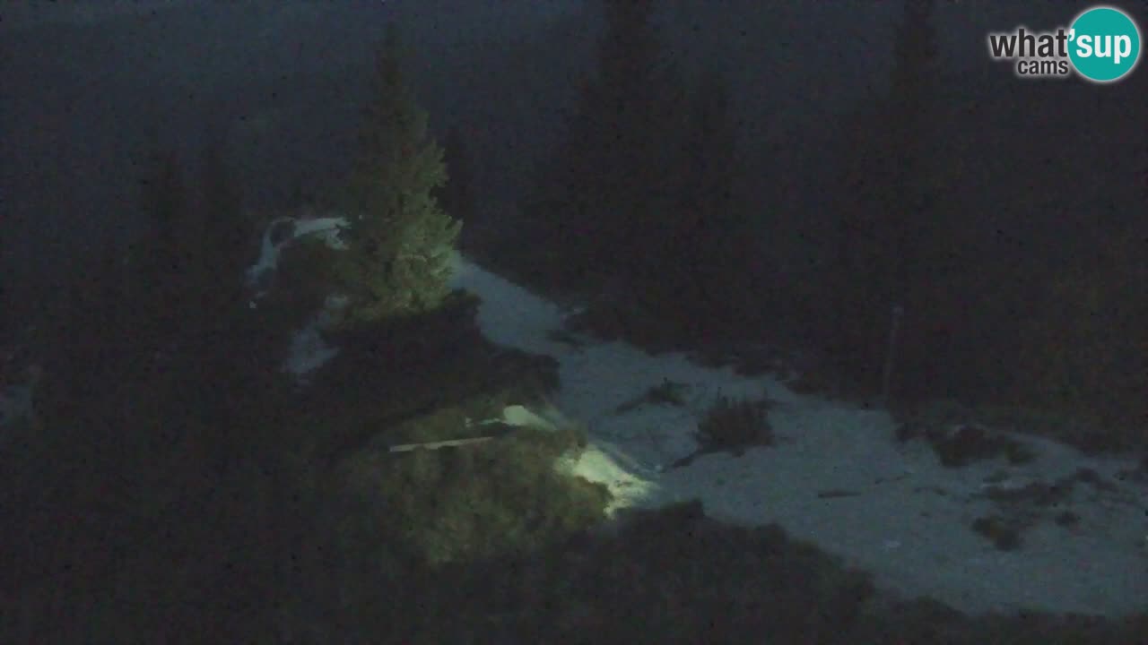 Koča na Golici Webcam (1582 m) – Slowenien