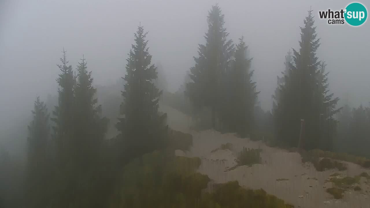 Spletna kamera Koča na Golici (1582 m) – Jesenice
