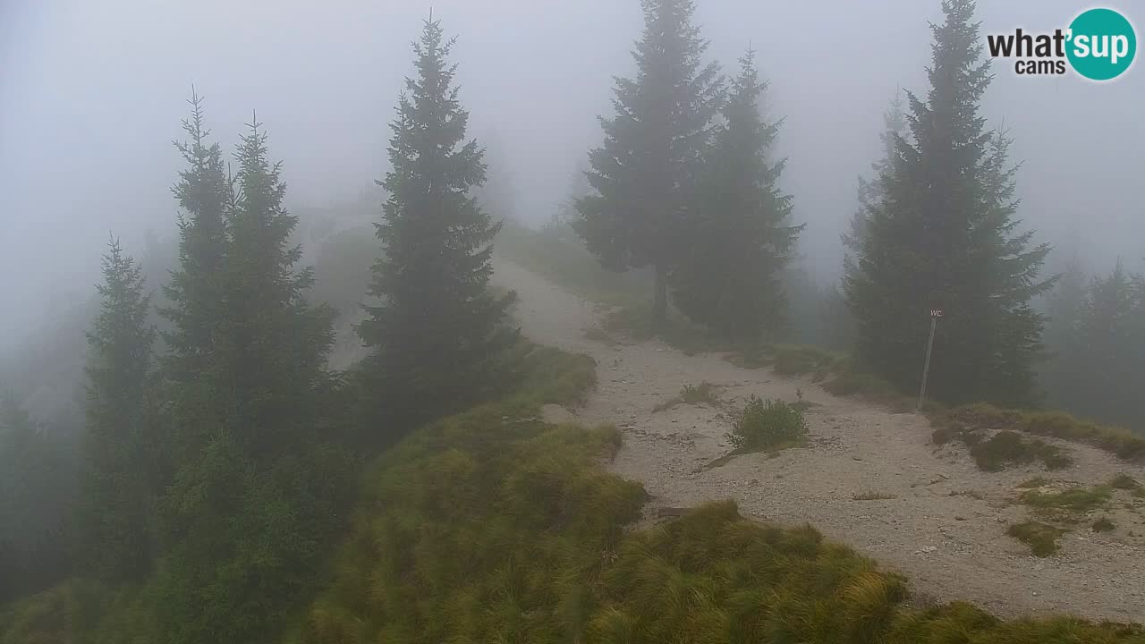 Webcam Koča na Golici (1582 m) – Slovenia