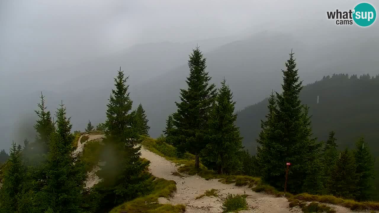 Spletna kamera Koča na Golici (1582 m) – Jesenice