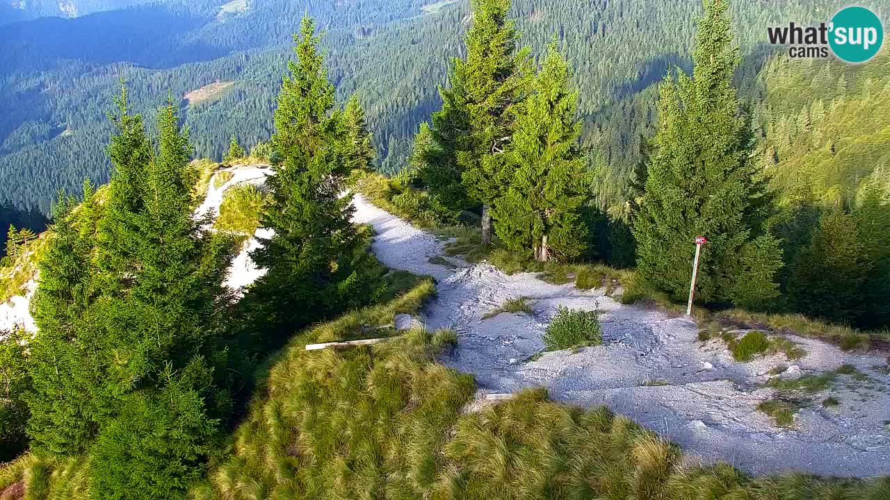 Spletna kamera Koča na Golici (1582 m) – Jesenice