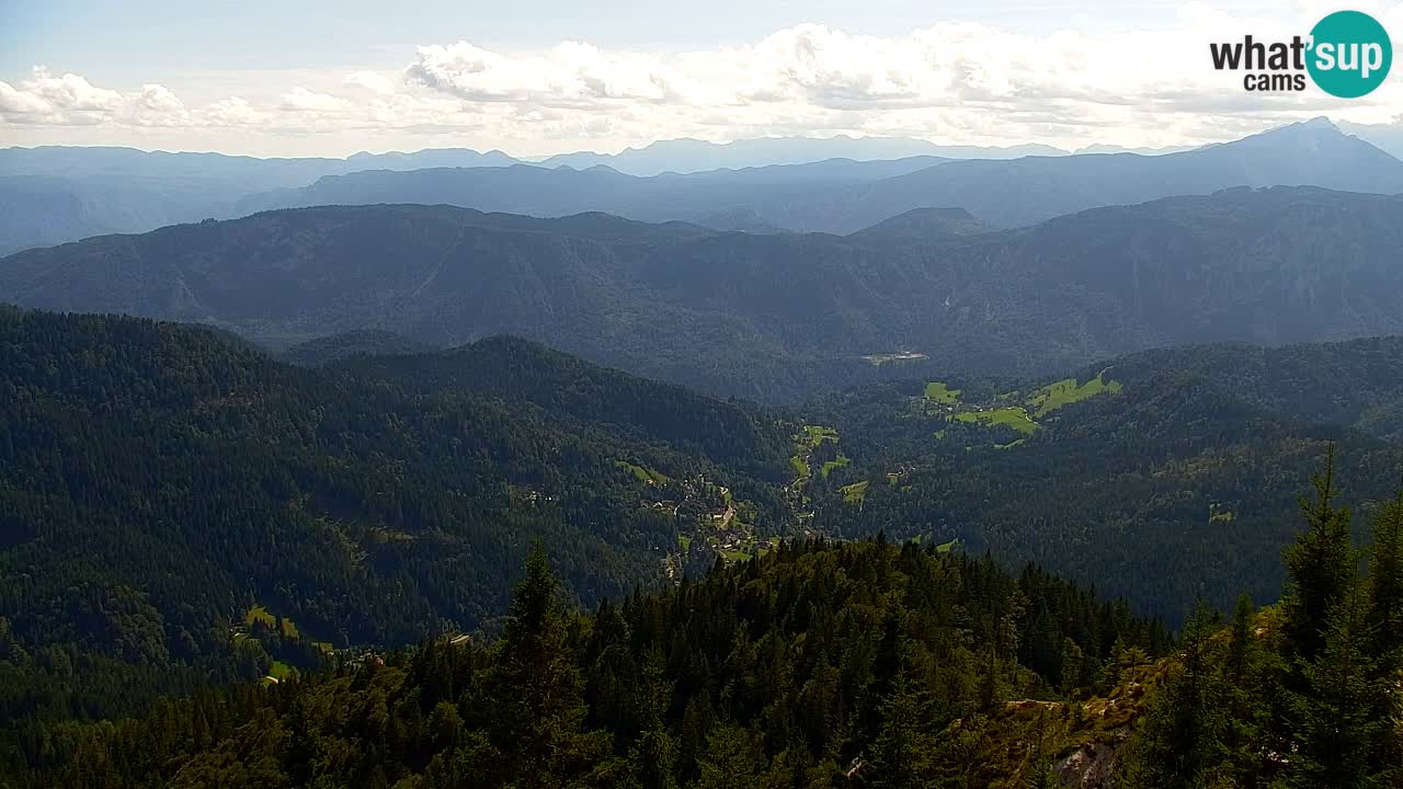 Webcam Koča na Golici (1582 m) – Slovenia