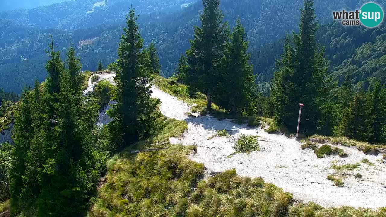 Webcam na Golici – Baita di montagna (1582 m) – Slovenia