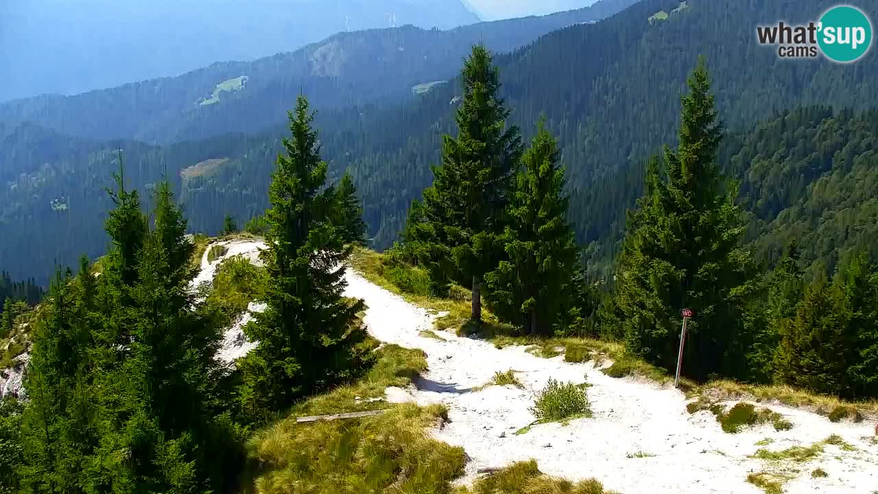 Webcam en Golica (1582 m) – Eslovenia