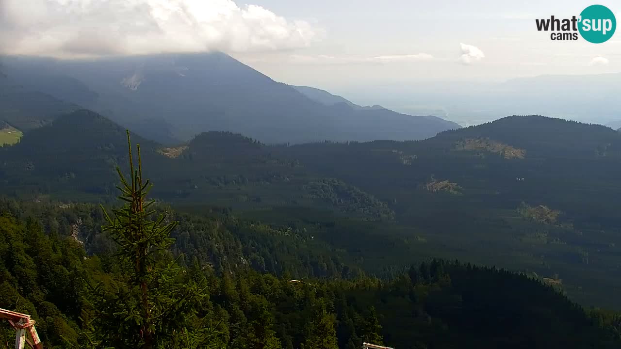 Koča na Golici Webcam (1582 m) – Slowenien