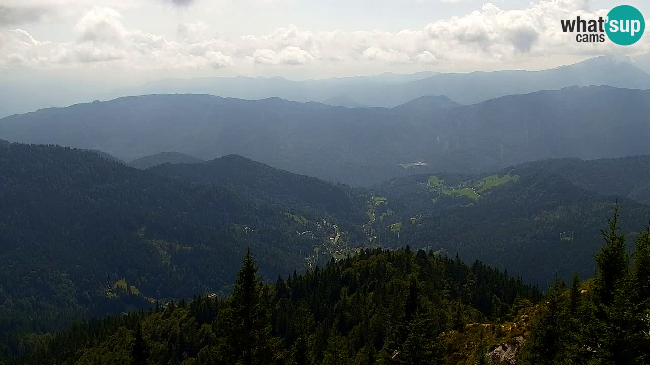 Webcam Koča na Golici (1582 m) – Slovenia