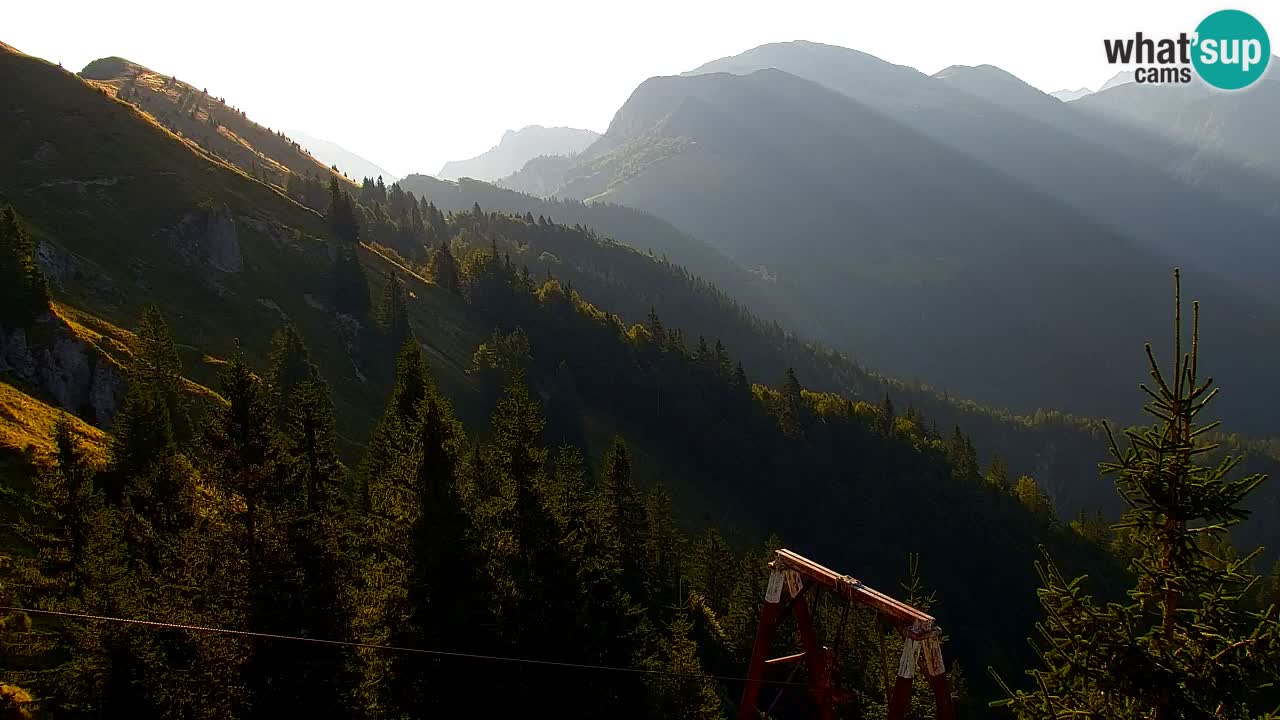 Webcam Koča na Golici (1582 m) – Slovenia