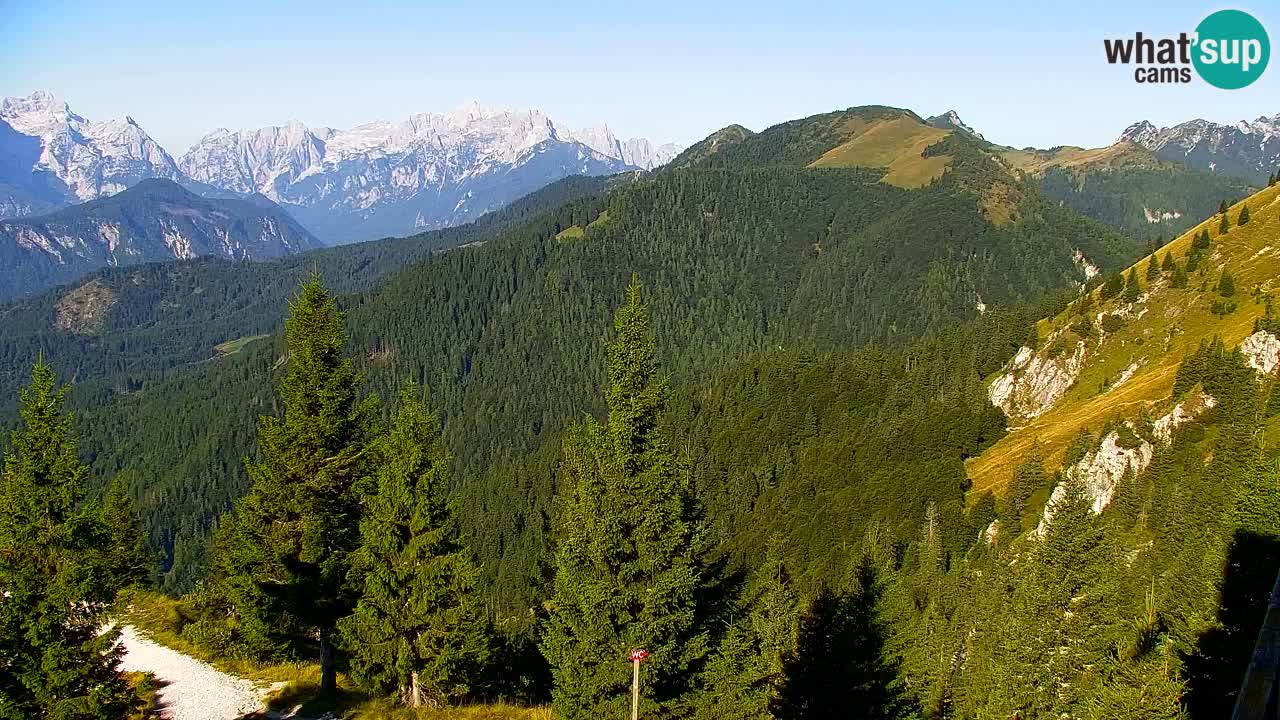 Webcam Koča na Golici (1582 m) – Slovenia