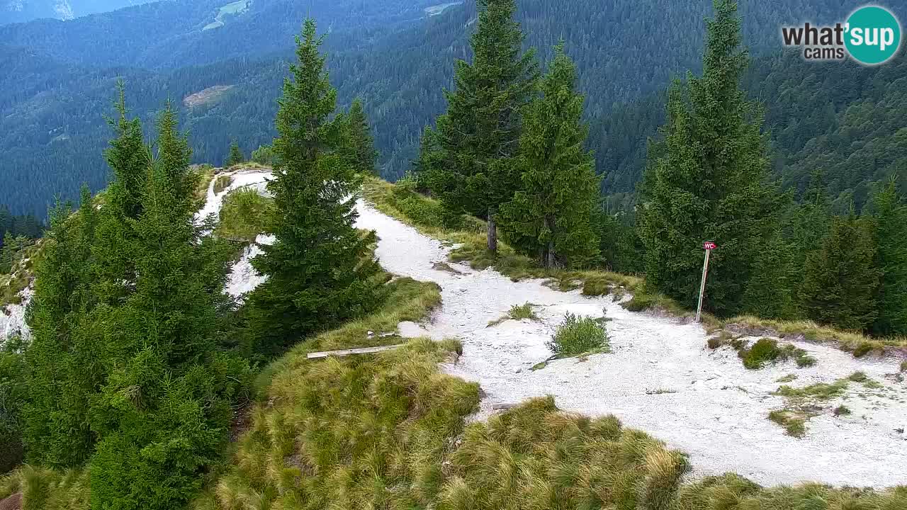 Webcam en Golica (1582 m) – Eslovenia