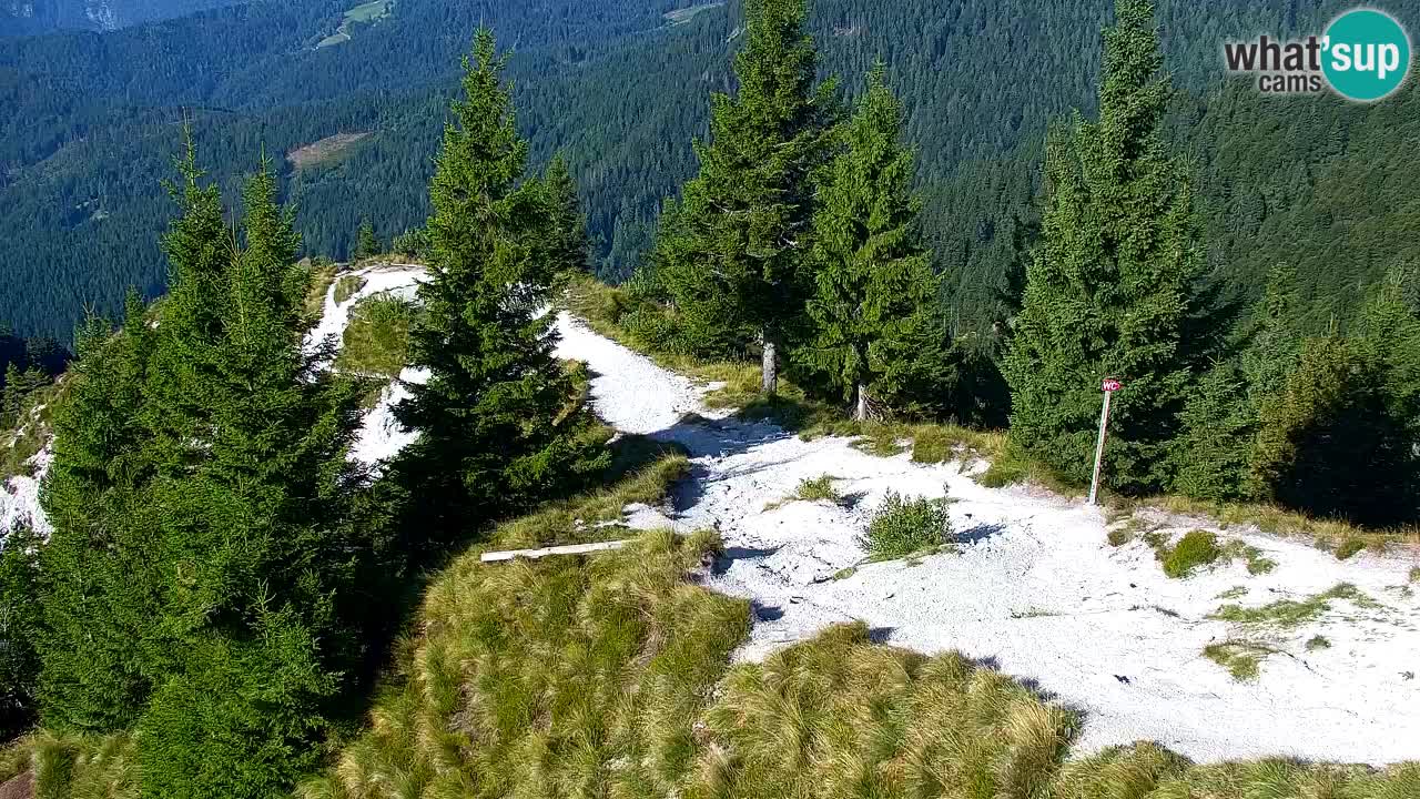 Webcam Chalet sur Golica (1582 m) – Slovénie