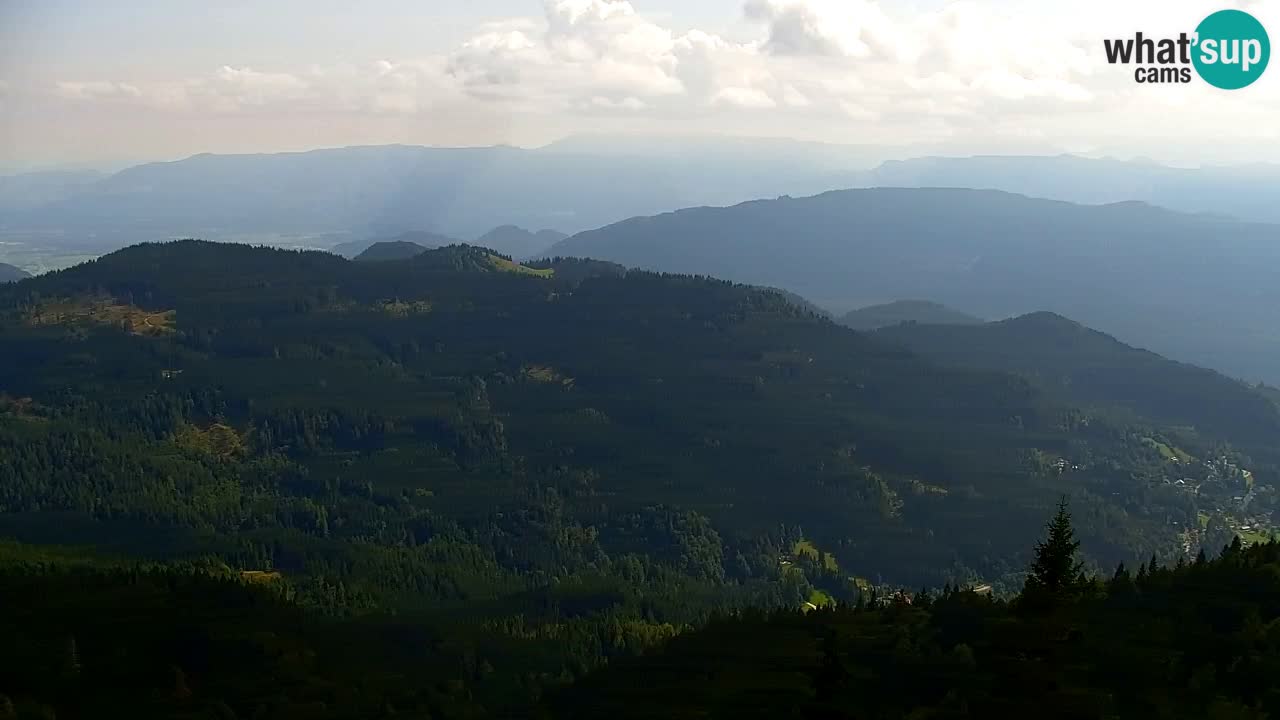 Webcam Koča na Golici (1582 m) – Slovenia