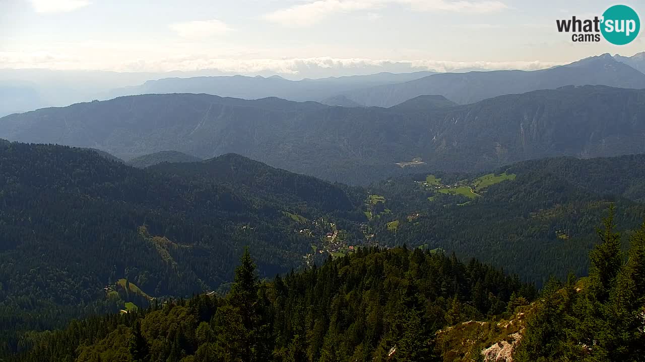 Web kamera Koča na Golici (1582 m) – Slovenija