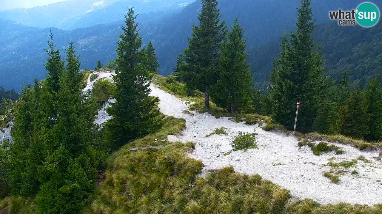 Spletna kamera Koča na Golici (1582 m) – Jesenice