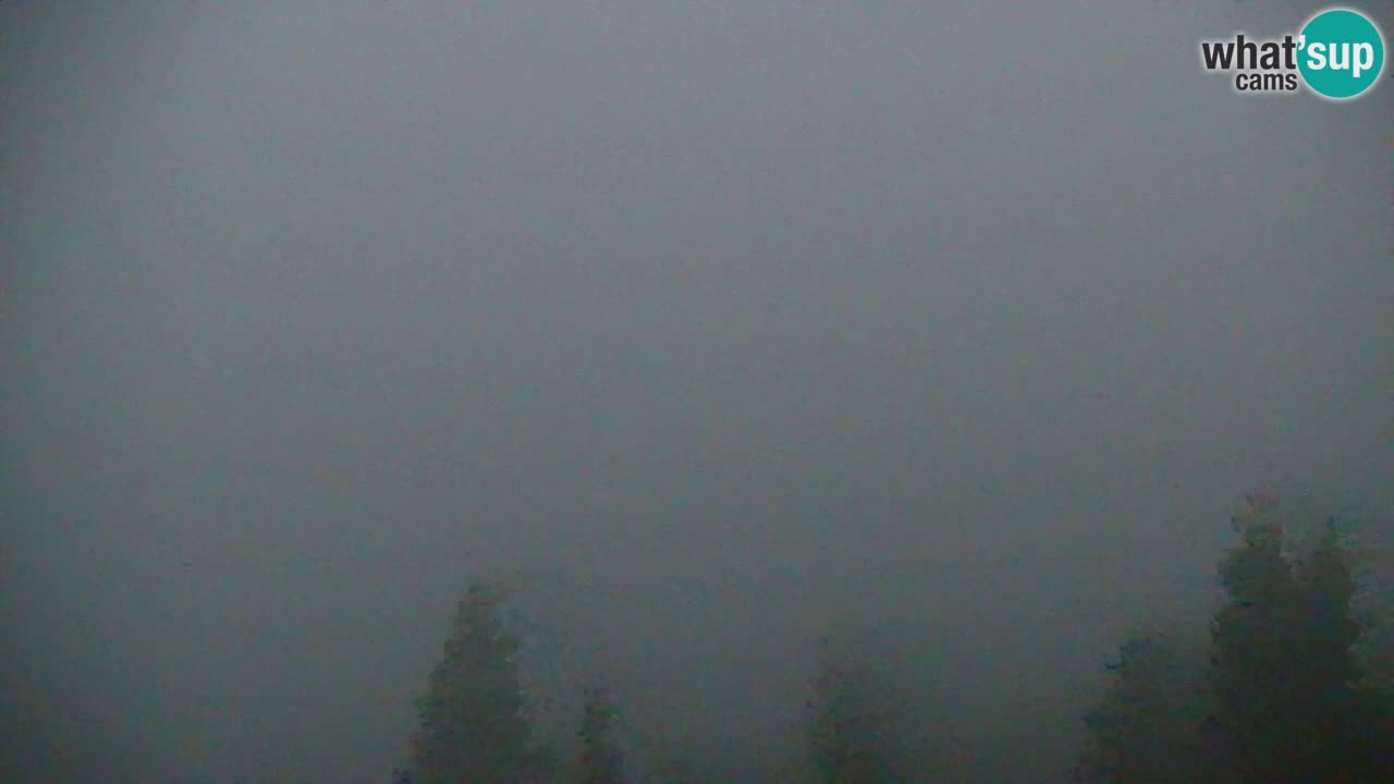 Webcam Koča na Golici (1582 m) – Slovenia