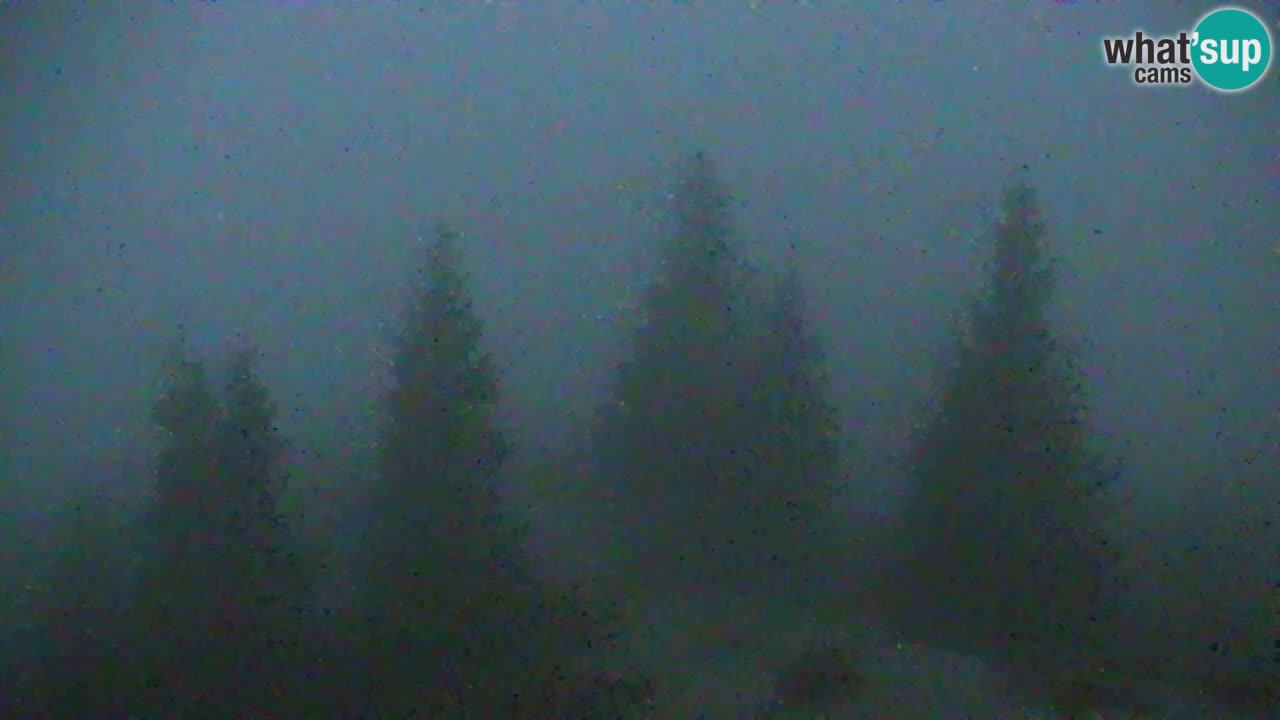 Webcam Koča na Golici (1582 m) – Slovenia