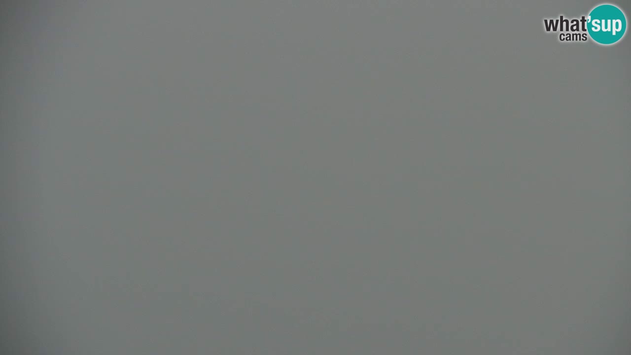 Webcam Koča na Golici (1582 m) – Slovenia