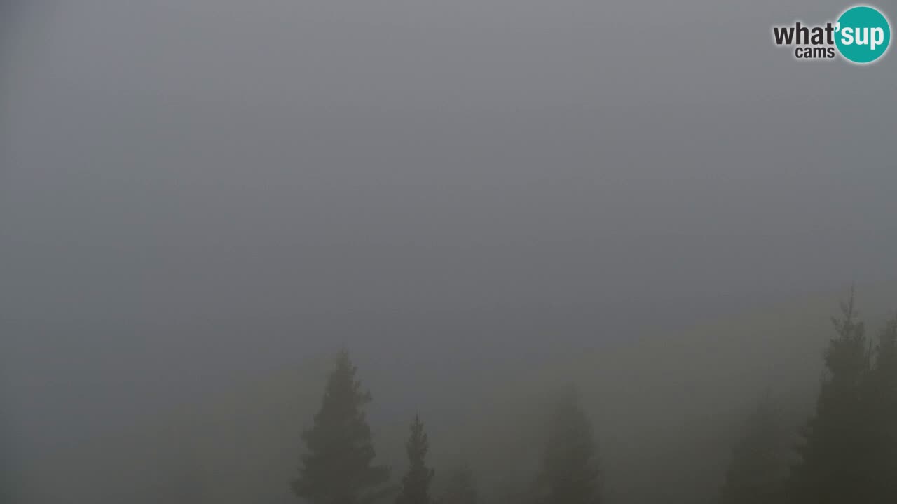 Web kamera Koča na Golici (1582 m) – Slovenija