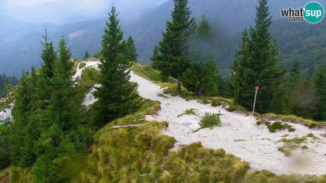 Spletna kamera Koča na Golici (1582 m) – Jesenice