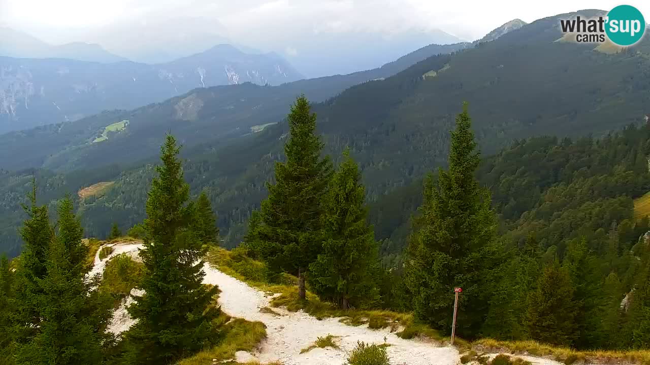 Webcam Koča na Golici (1582 m) – Slovenia