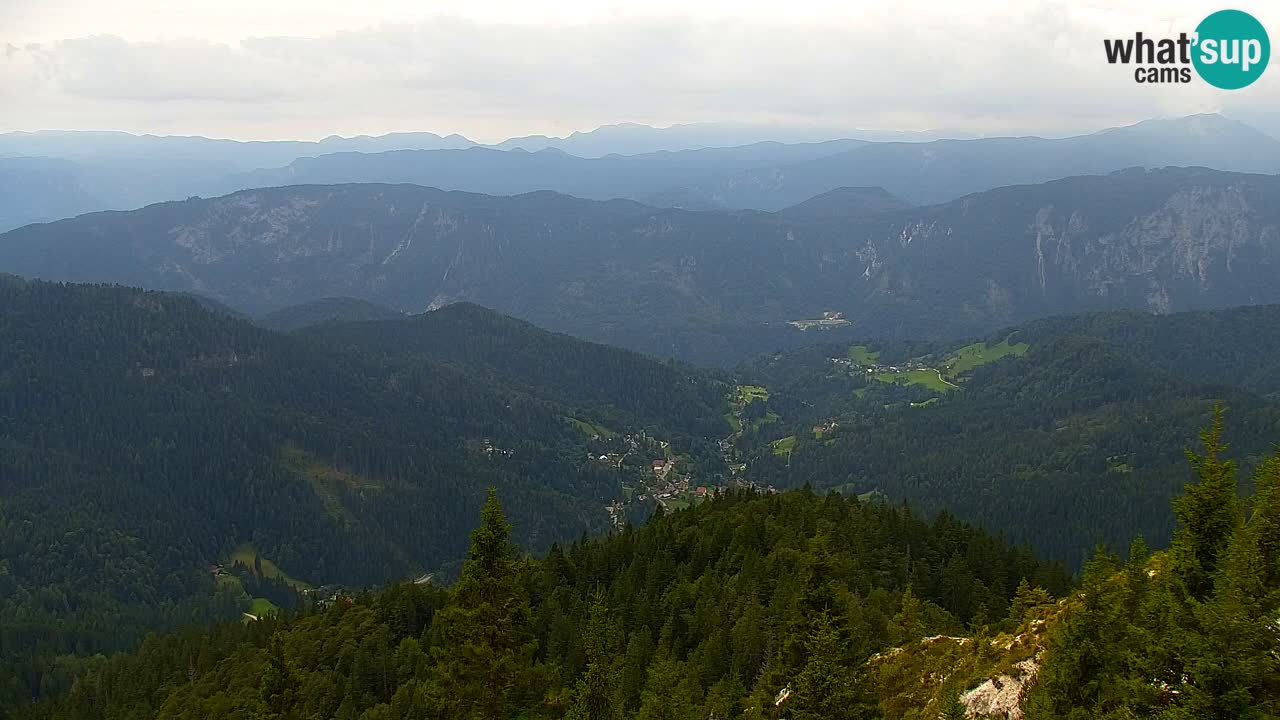 Webcam Koča na Golici (1582 m) – Slovenia
