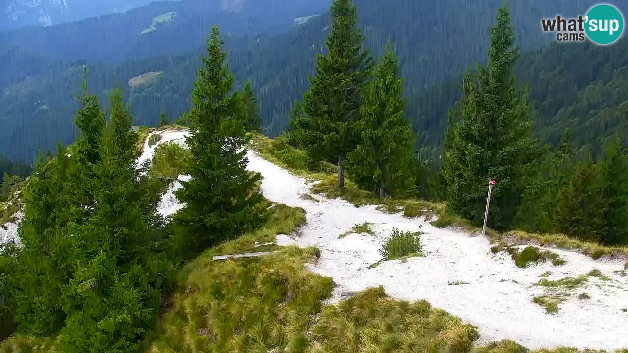 Webcam na Golici – Baita di montagna (1582 m) – Slovenia