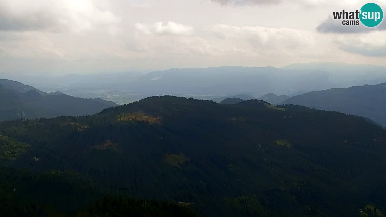 Koča na Golici Webcam (1582 m) – Slowenien
