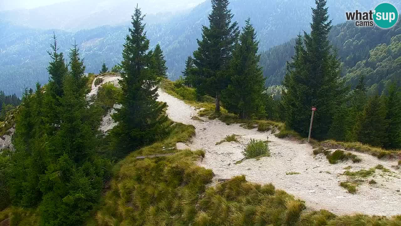 Webcam Koča na Golici (1582 m) – Slovenia