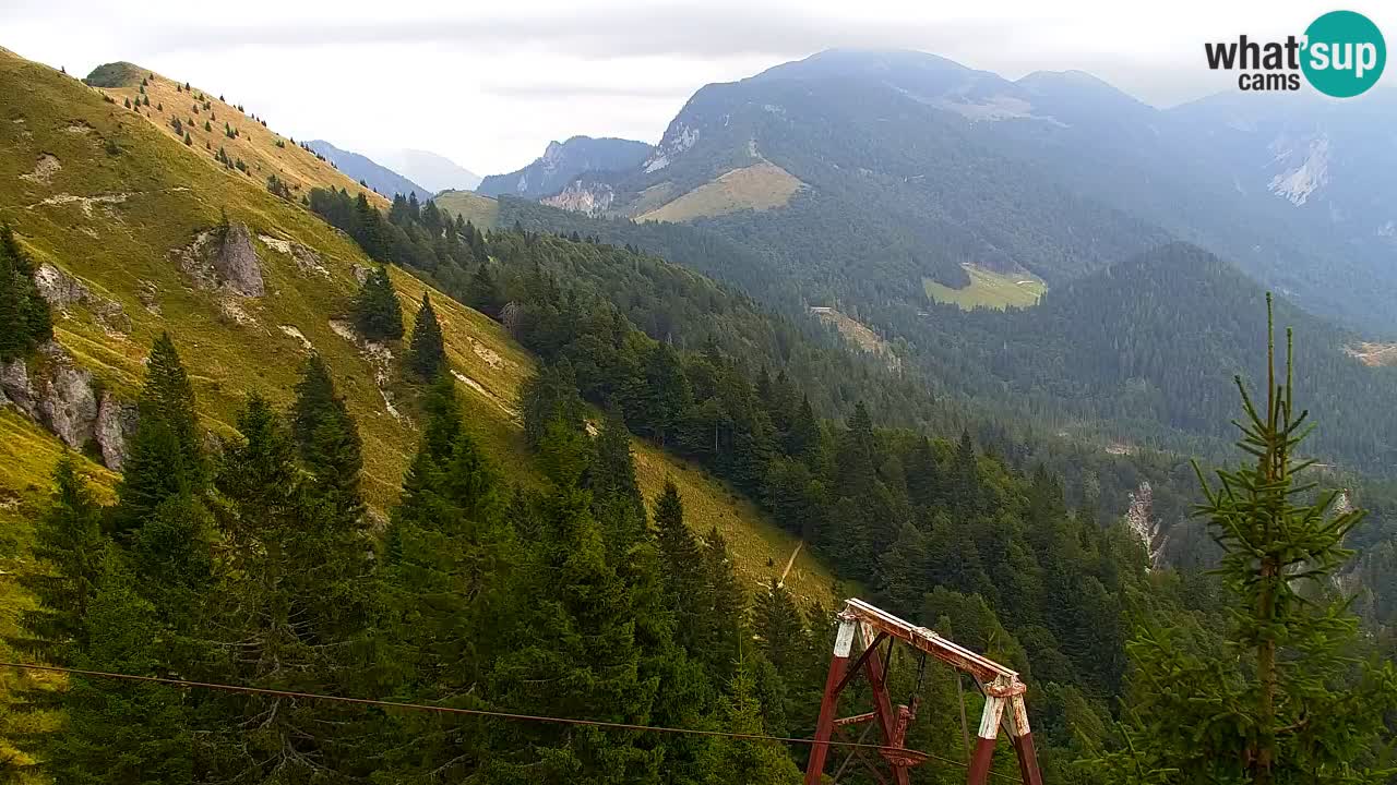 Koča na Golici Webcam (1582 m) – Slowenien
