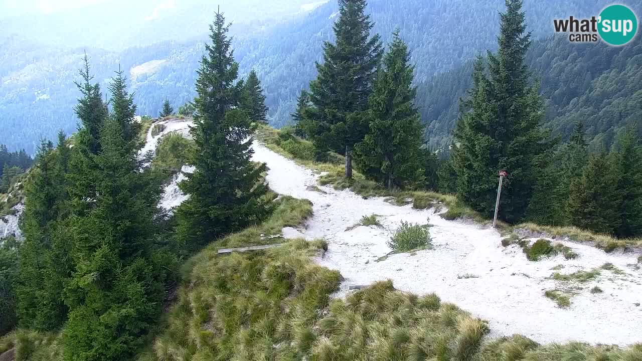 Koča na Golici Webcam (1582 m) – Slowenien