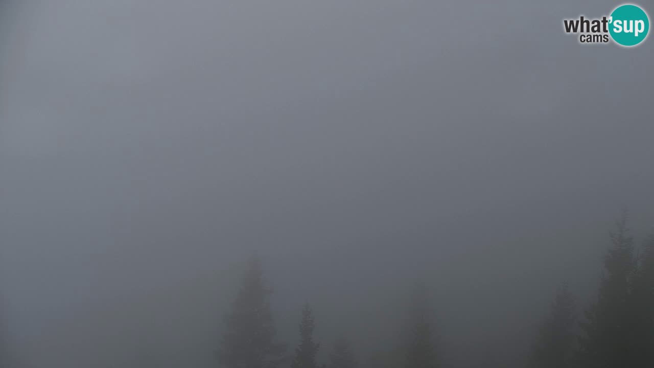 Webcam Chalet sur Golica (1582 m) – Slovénie