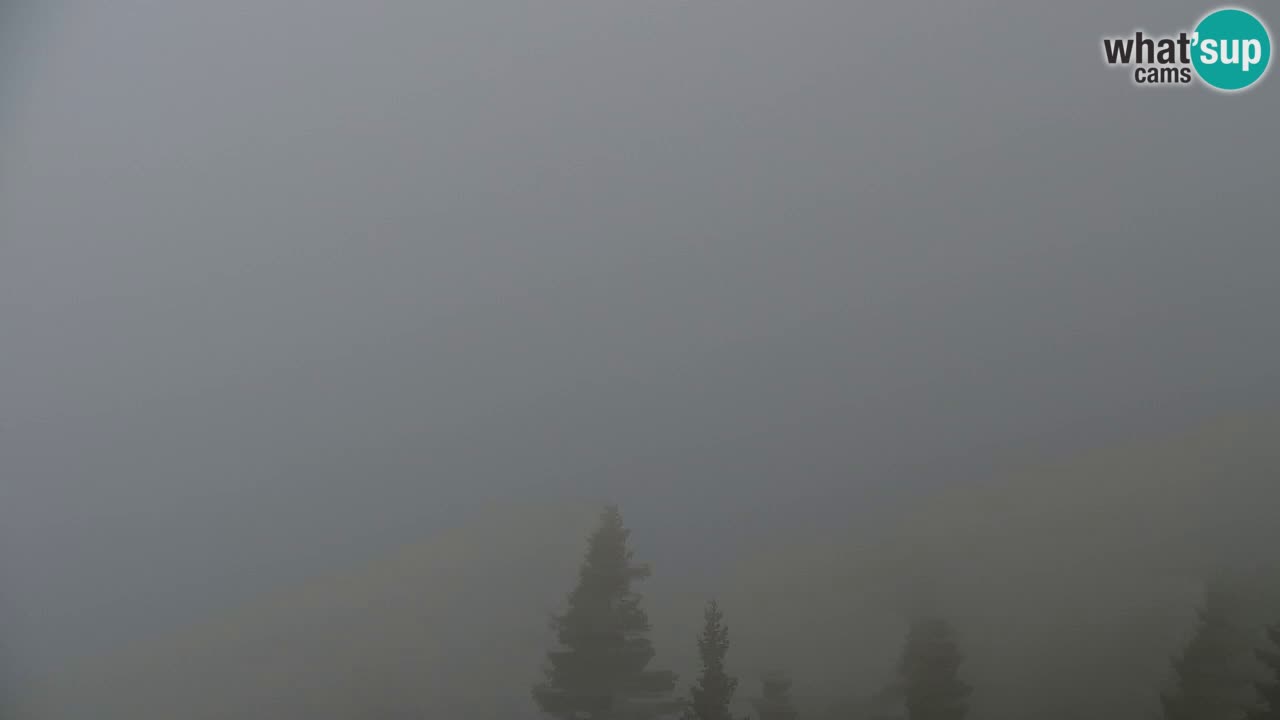 Webcam Koča na Golici (1582 m) – Slovenia