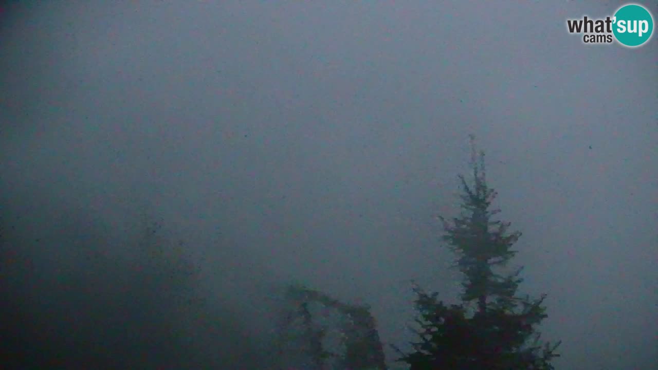 Koča na Golici Webcam (1582 m) – Slowenien