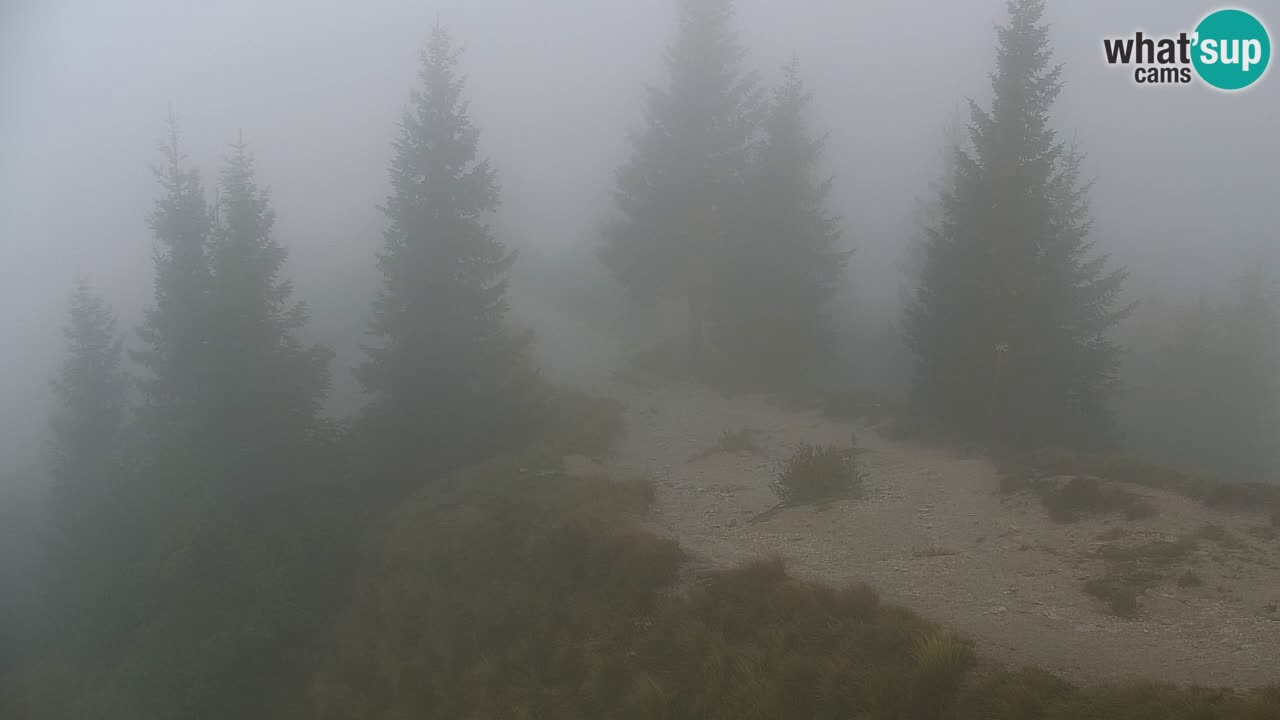 Koča na Golici Webcam (1582 m) – Slowenien