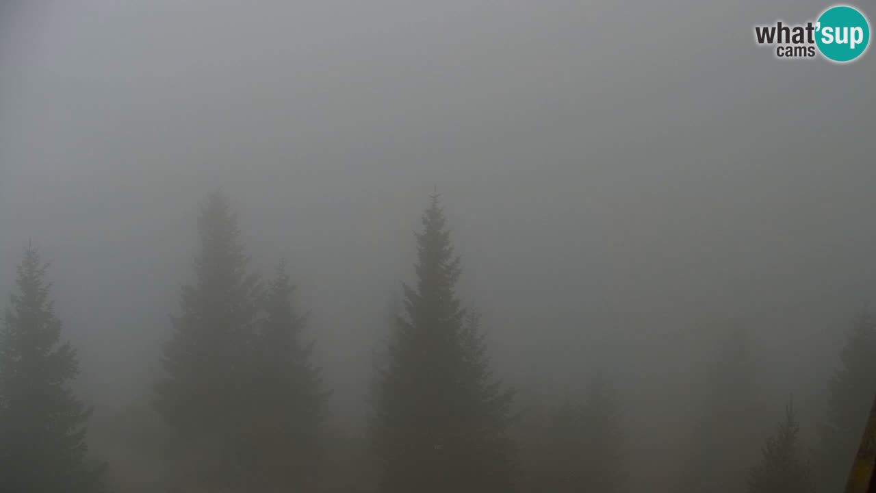 Spletna kamera Koča na Golici (1582 m) – Jesenice