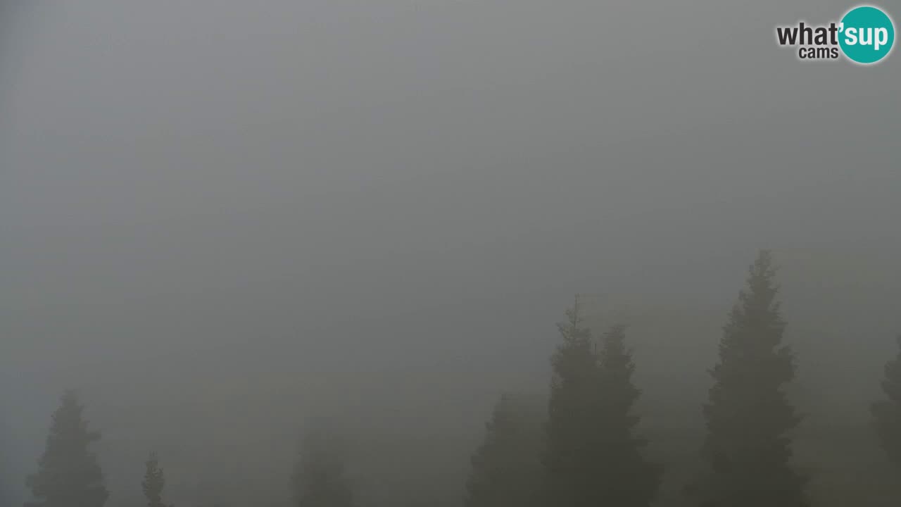 Koča na Golici Webcam (1582 m) – Slowenien