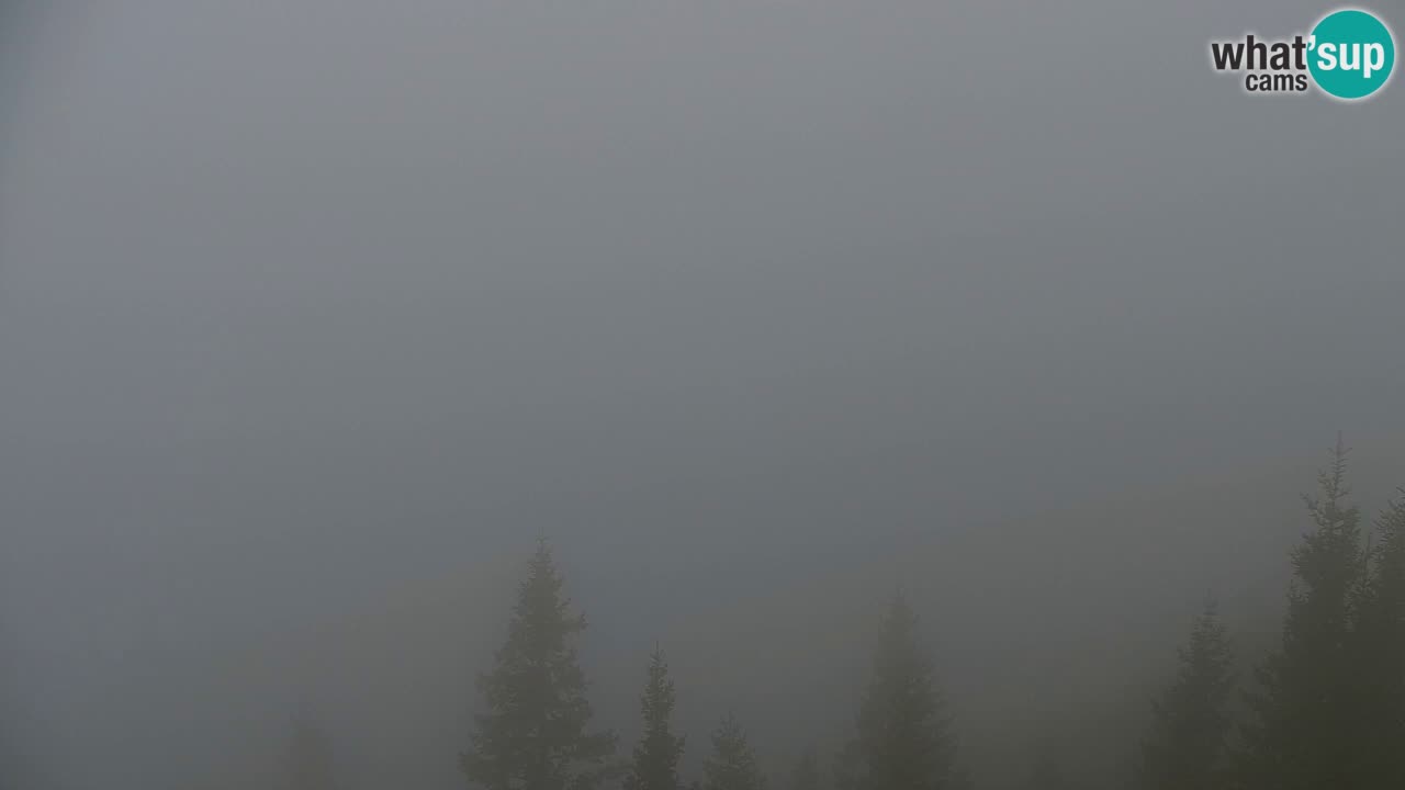 Webcam Koča na Golici (1582 m) – Slovenia
