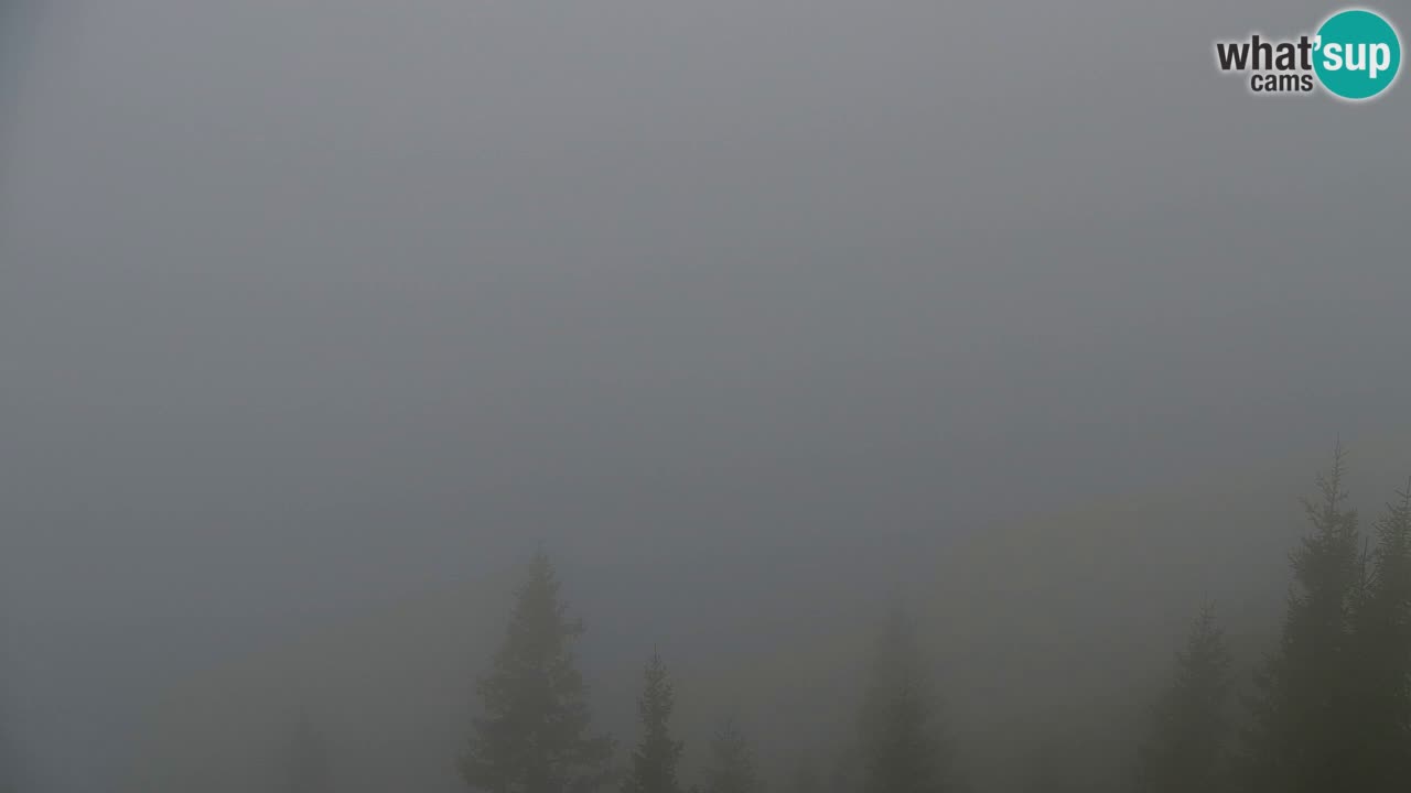 Koča na Golici Webcam (1582 m) – Slowenien