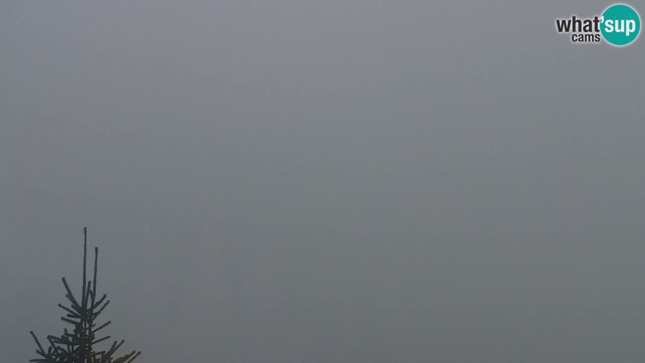 Koča na Golici Webcam (1582 m) – Slowenien