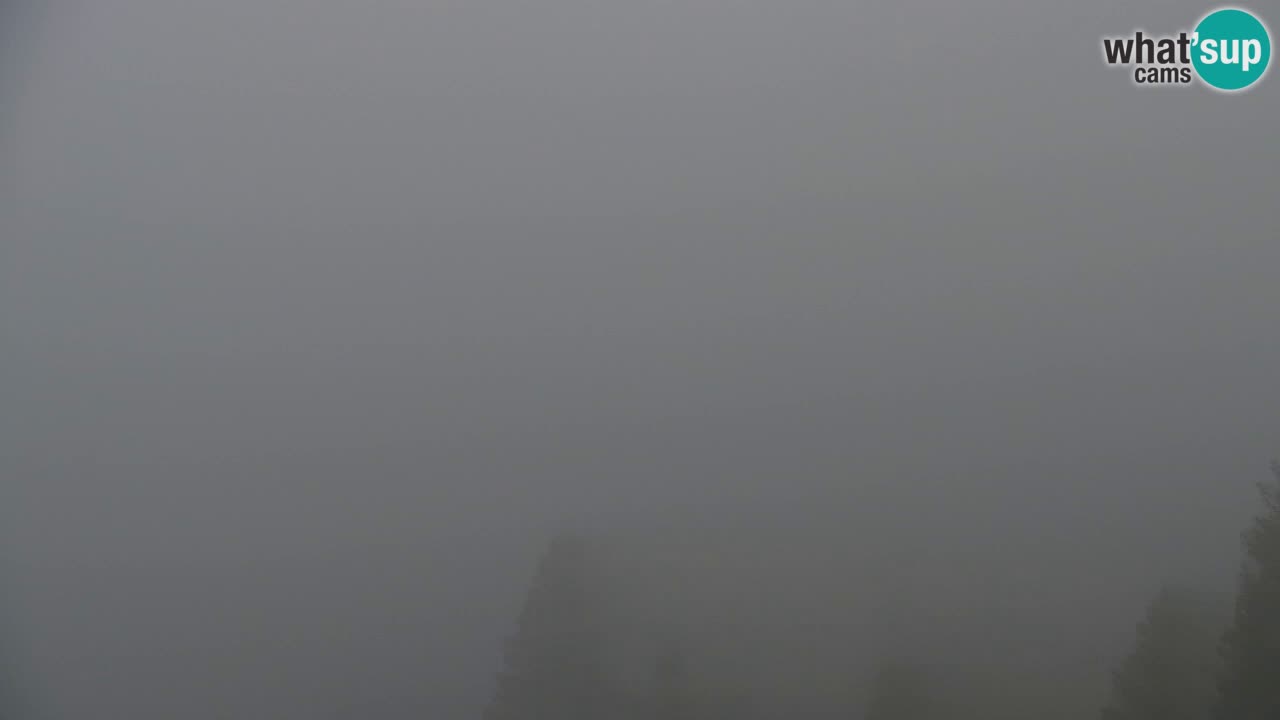 Koča na Golici Webcam (1582 m) – Slowenien
