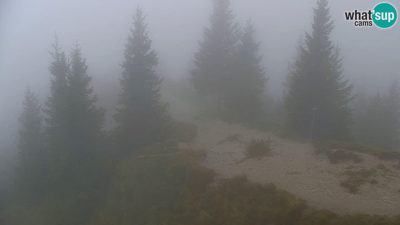 Web kamera Koča na Golici (1582 m) – Slovenija