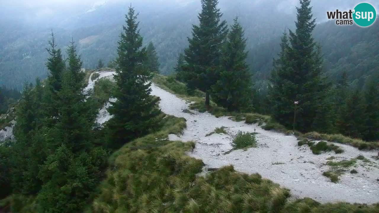 Webcam Koča na Golici (1582 m) – Slovenia