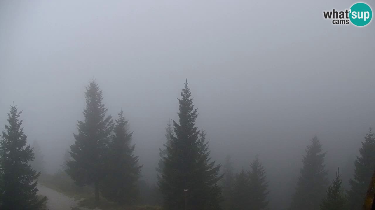 Webcam Koča na Golici (1582 m) – Slovenia