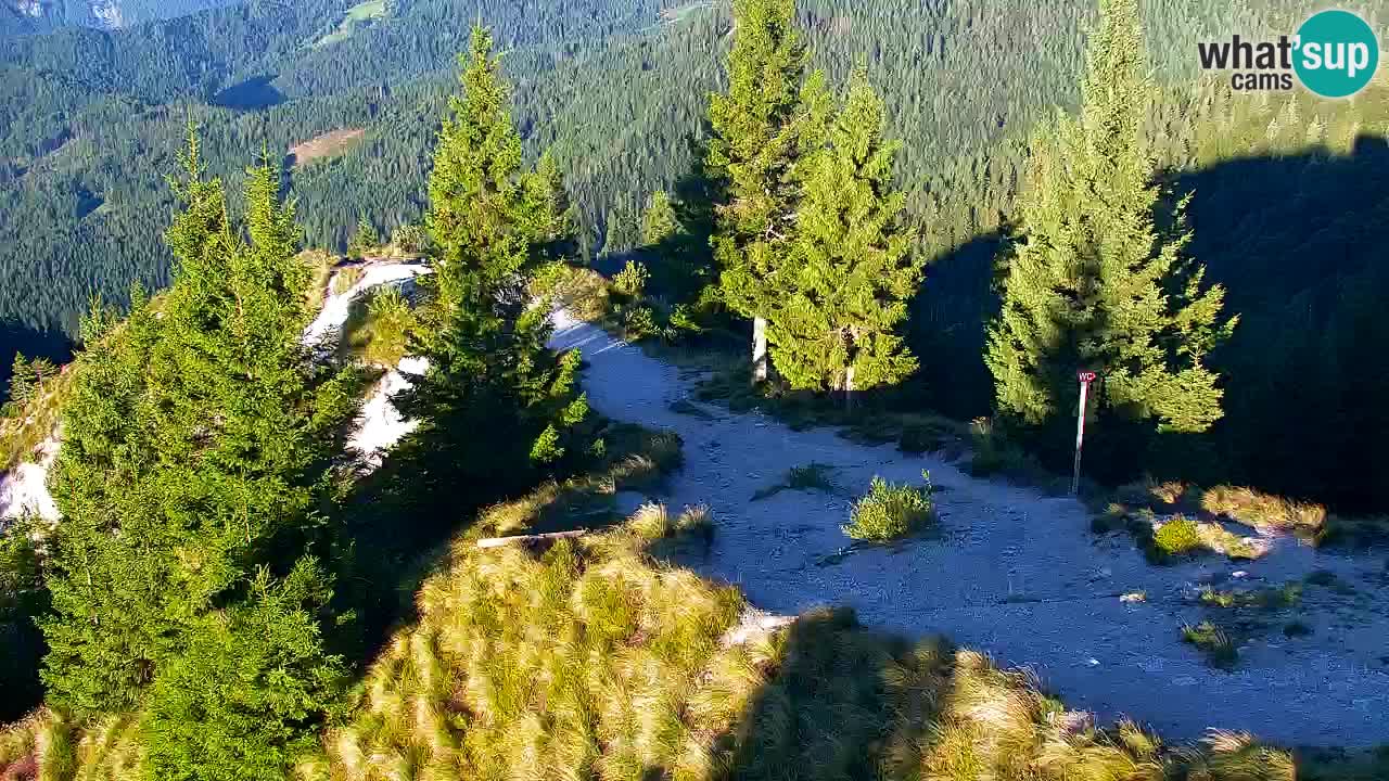 Webcam na Golici – Baita di montagna (1582 m) – Slovenia